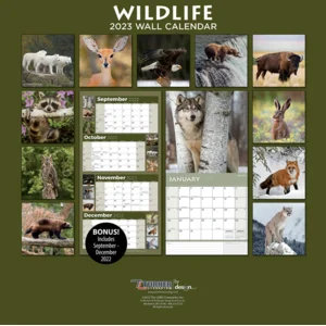Kalender - 2023 - Wildlife - 30x30cm