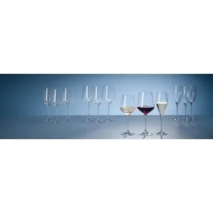 Villeroy & Boch 4 stuks Champagneflute Champagneglazen