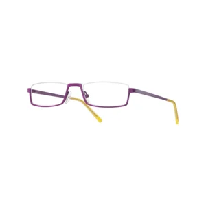 Binde Optik Leesbril BI1184 17