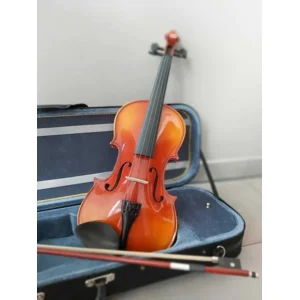 Fino FV013F 4/4 viool met accessoires