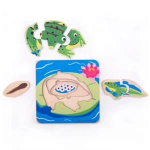 Puzzel - Van kikkerdril tot kikker - Levenscyclus - 3 lagen