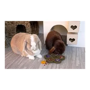 Rosewood Naturals Flower 'N' Forage Blossom 17 cm