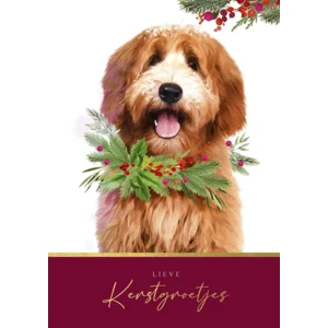 Kaarten - Kerst - Christmas companions - CA.0005