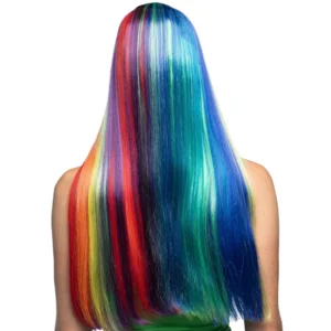 Regenboogpruik met Lange Lokken – Dé Eyecatcher voor Carnaval, Festival of Pride
