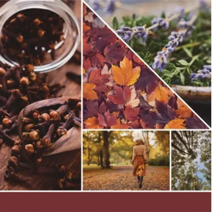 Autumn Daydream -  Signature Large Tumbler