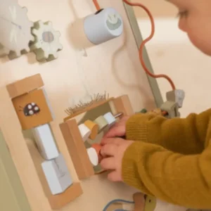 Duwwagen - Babywalker - Gans - Met activiteiten