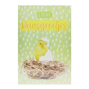 Kaart - Lente & pasen - Lieve paasgroetjes - SPR02-A