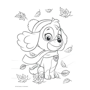 Boek - Kleurboek - Paw patrol