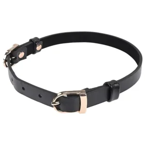 Sportsheets Sex & Mischief Double Buckle Day Collar