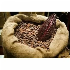 Purasana Cacao kernen (raw nibs) 200 gram