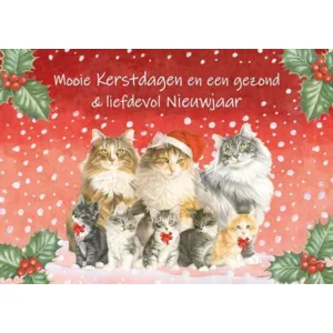 Kaart - Kerst - JBS - Mooie kerstdagen en een gezond & liefdevol nieuwjaar - KSF050