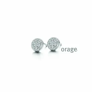 Zilveren Oorbellen Orage AC15