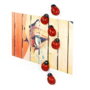 Trendform Magneten Lieveheersbeestjes Set van 6 Stuks