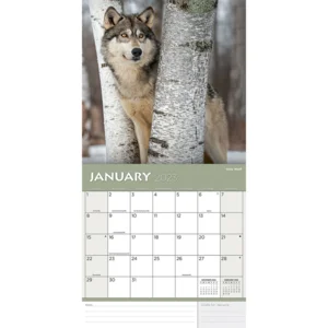 Kalender - 2023 - Wildlife - 30x30cm