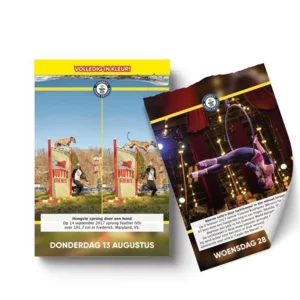 Scheurkalender - 2026 - Guinness world records