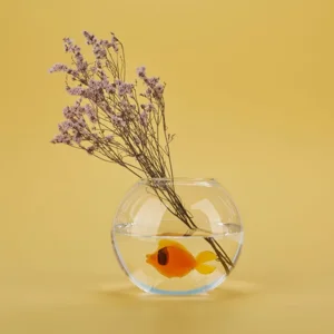 Balvi Vaas Vis Amber Rond Glas