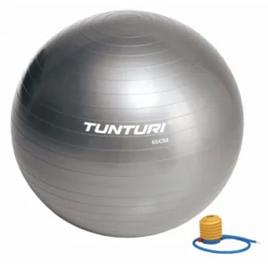 Tunturi Fitness Gym Ball 65 Silver