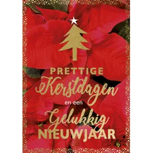 Kaarten - Kerst - Hangpak - Gouden tekst op kerstster achtergrond - 10st. - HPK.1015