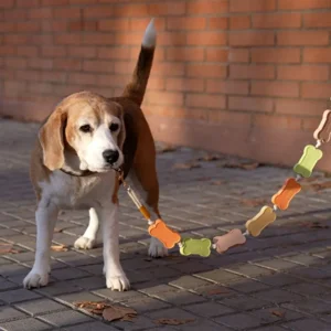 Balvi Hond Leiband Uitlaatriem Koekjes 108cm