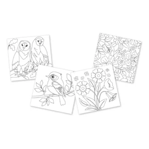 Kleurboek - Birds - Voor volwassenen