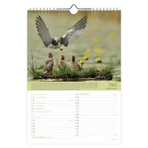 Maand kalender - 2027 - Vogels - Birds - 23,5x33,5cm