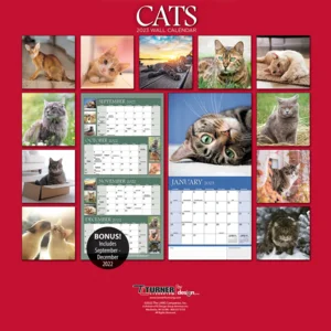 Kalender - 2023 - Cats - 30,5x30,5cm
