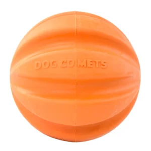 Dog Comets Swift Tuttle Oranje