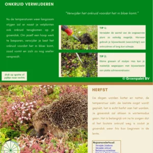 ebook interactieve digitale onderhoudskalender voor groendaken: sedum meststof, onkruid bestrijden op sedumdak, mos bestrijden