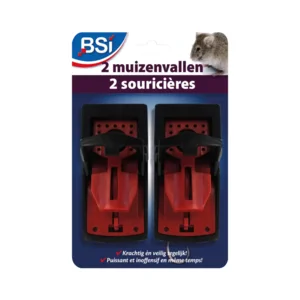 muizenval/2  bsi