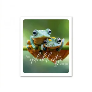 Kaart - Photo factory - Een opkikkertje voor jou - nr.45