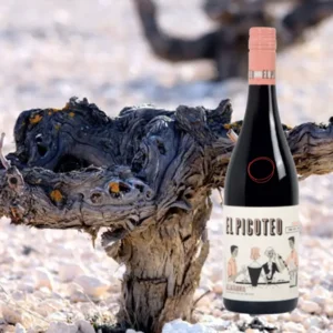 Bodegas Piqueras El Picoteo Tinto