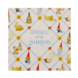 Kaart - Rien Poortvliet - Hoera een jongen!