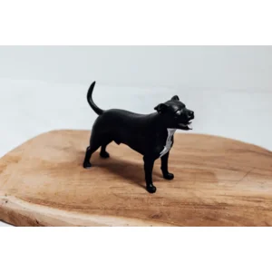3D Print van je huisdier