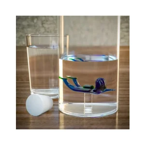 Balvi Waterfles Karaf Scuba 1.2L Glas