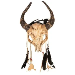 Vodoo masker schedel