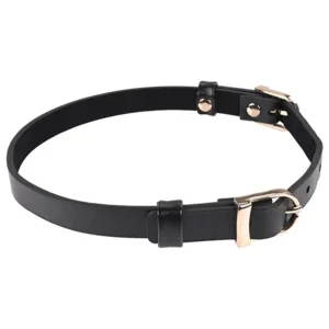 Sportsheets Sex & Mischief Double Buckle Day Collar