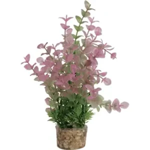 Zolux ornament plastic plant op stenen vrolijk assorti 20x10x10 cm