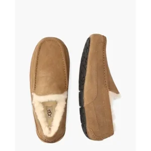 Ugg Ascot Bruin Herenpantoffels