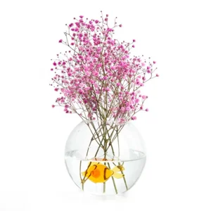 Balvi Vaas Vis Amber Rond Glas