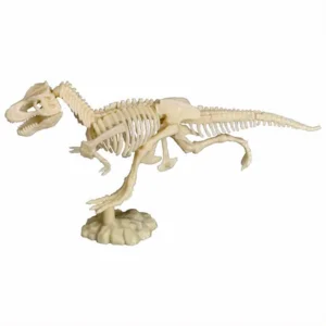 Uitgraafset lichtgevend Tyrannosaurus Rex skelet