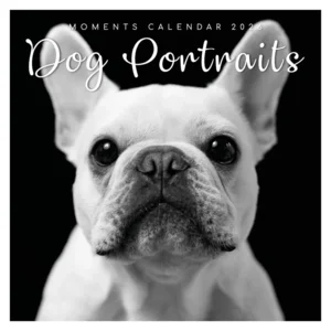 Kalender - 2026 - Dog portraits - 30x30cm