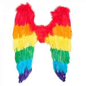 Regenboog vleugels - Engelen vleugels in de regenboogkleur 50cm