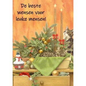 Kaart - Kerst - JBS - De beste wensen voor leuke mensen! - KSF030
