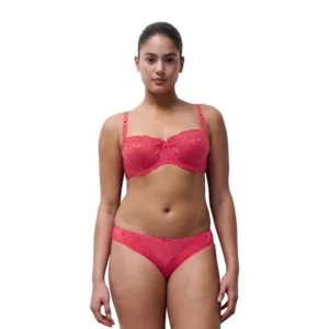 Chantelle – Champs-Elysées – Slip – C26030 – Sweet Velvet