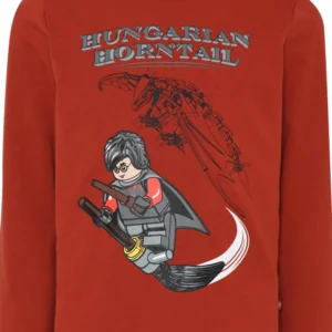 Lego Harry Potter Jongens T-shirt Lwtaylor 709