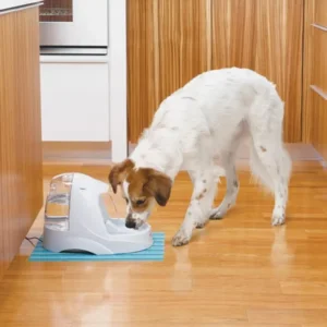 Platinum Pet Fountain - 5 L