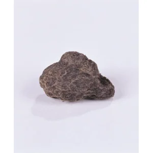 Anemonen de Caen gemengd