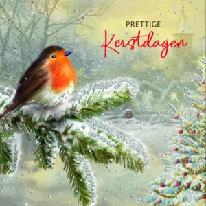 Kaarten - Kerst - Highline - 10st. - HE.2001