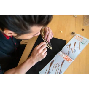 Speedfighter Veter Models Modelbouwpakket