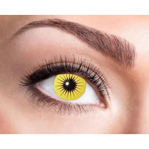 Eyecatcher Yellow Star - Jaarlenzen